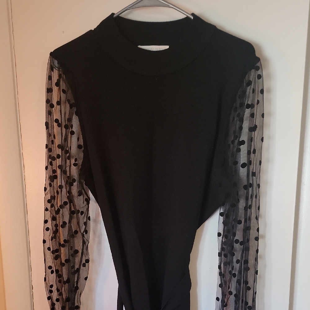 Elegant Black Dress with Sheer Polka Dot Sleeves